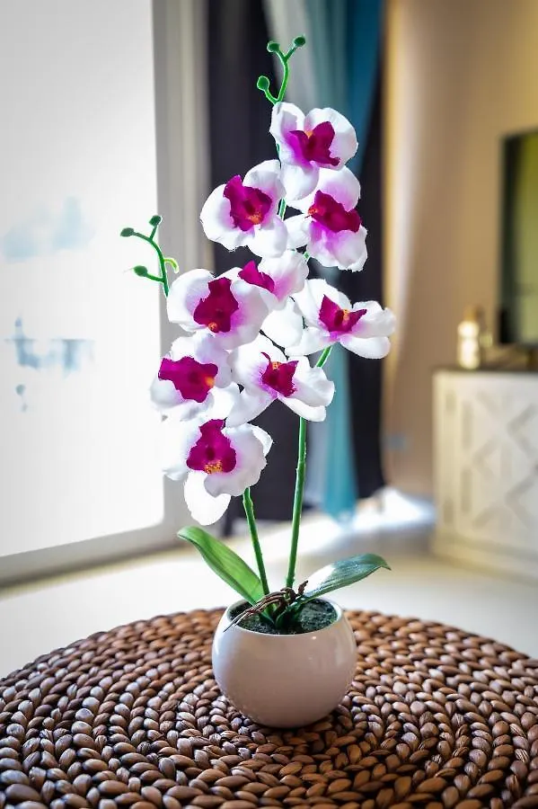 Lovely Apartment With Private Gym, Near Beach, Downtown, 24Hr Security, Pool, Gated 나사우